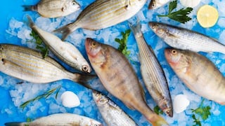 Comer para vivir: Diferencias entre pescado blanco y pescado azul