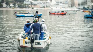 Derrame de petróleo: pérdidas superan los S/ 100 mil al día para pescadores artesanales de Ancón, afirma dirigente 