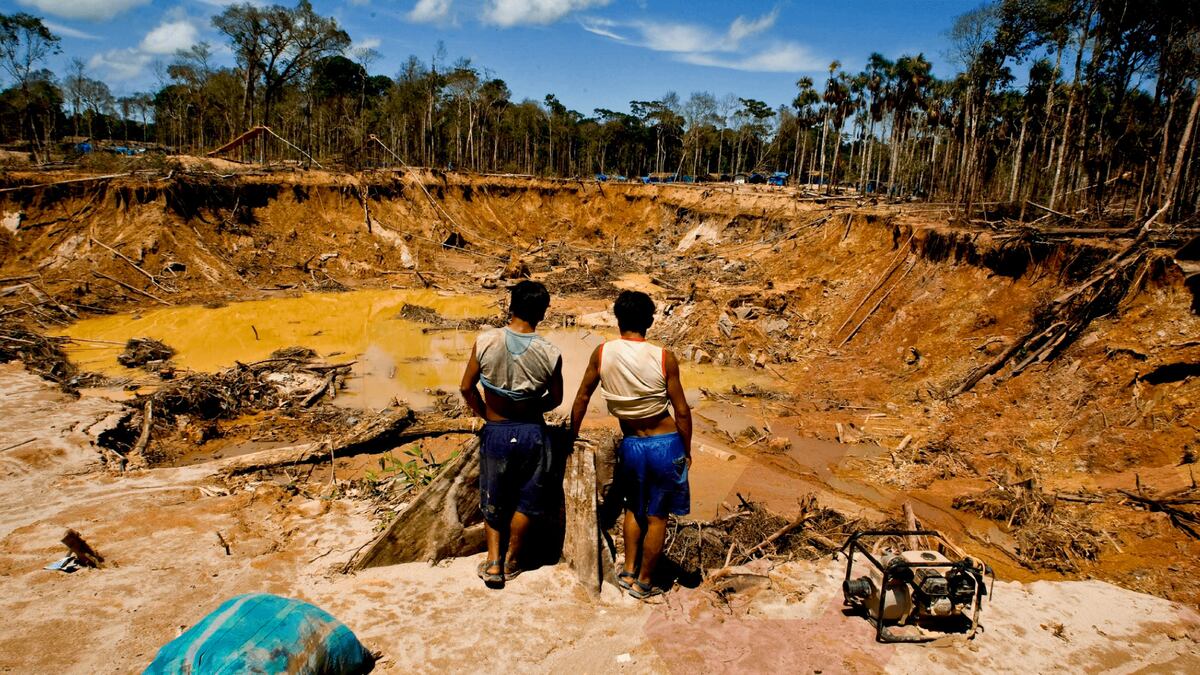 Reinfo es considerado una apertura a la minería ilegal. Foto: gob.pe