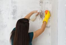 Trucos efectivos para prevenir el moho en casa