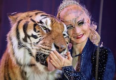 Manso tigre escapa de su refugio y Policía lo mata en vez de dormirlo con tranquilizantes