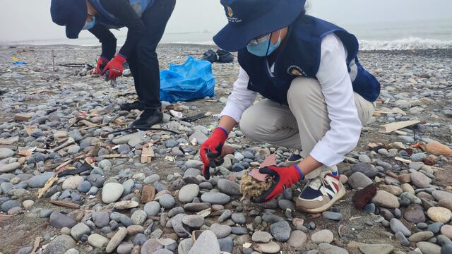 Callao: Recogen más de 100 toneladas de basura de la playa Márquez