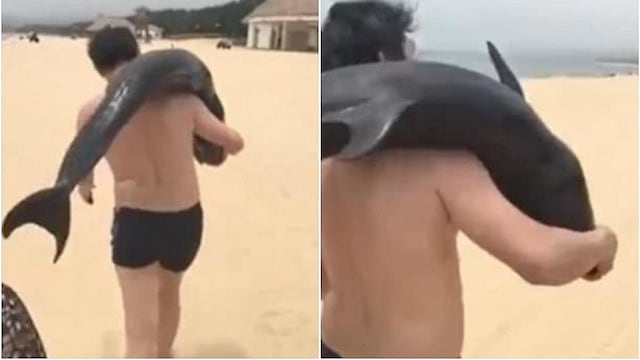 ​Buscan a fresco turista que se llevó a un delfín al hombro como un bulto