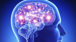"El cerebro trabaja siempre, aunque no parezca", advierte científico 