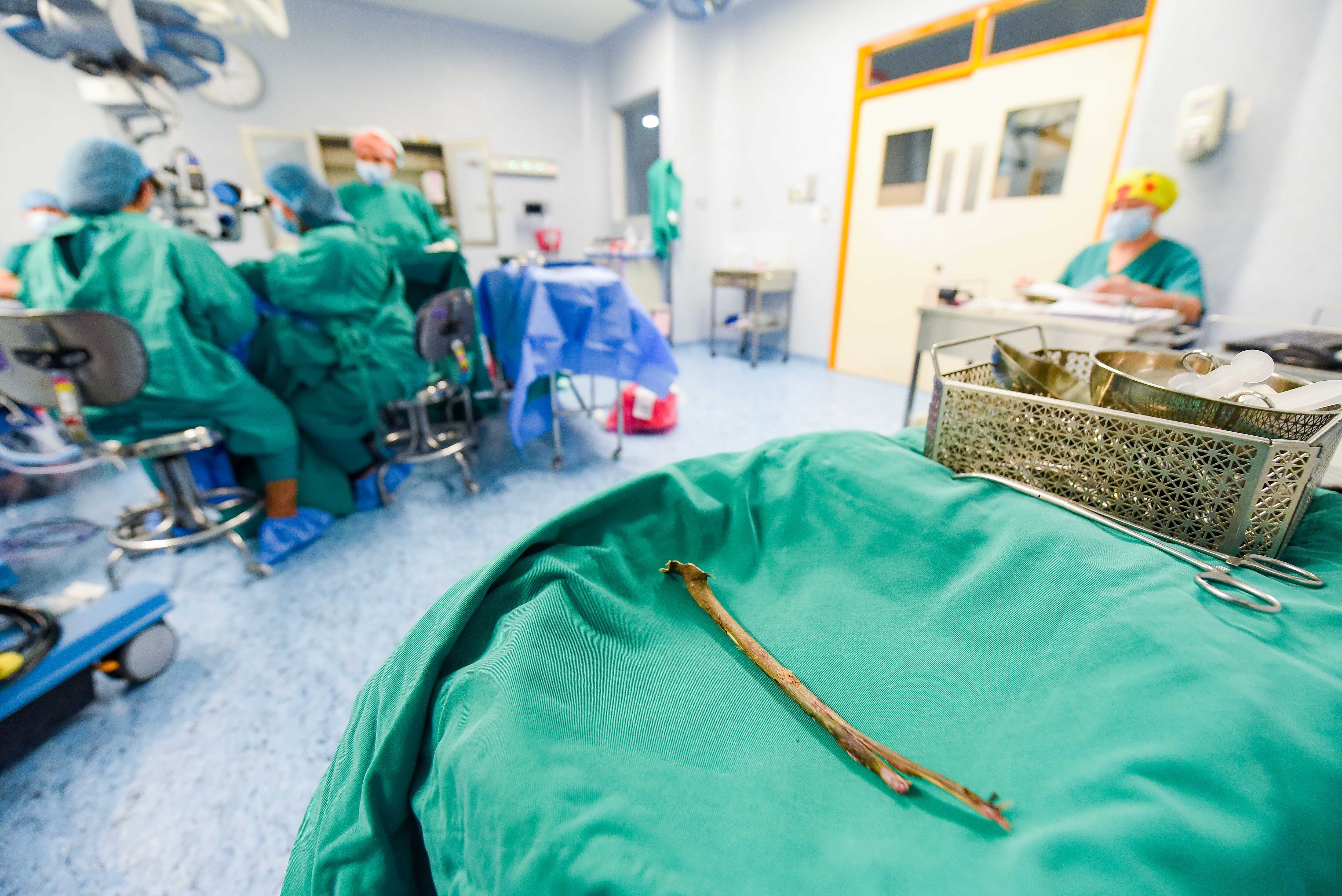 Rama incrustada llegó hasta su ojo izquierdo.