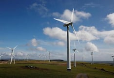 Ofrecen dinero y “baile erótico” a granjero para que acepte instalar una turbina eólica en sus tierras