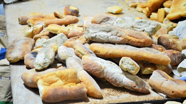 Intervienen dos panaderías que no cumplían con normas de higiene en Tacna