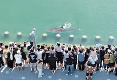 Tiburón se convierte en un fenómeno turístico y cultural y no logra volver al mar abierto