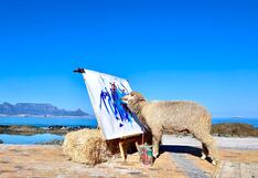 Ofrecen recompensa de 65 mil dólares por desaparecida oveja que pinta cuadros