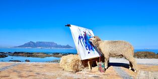 La oveja Baanksy pinta obras de arte.