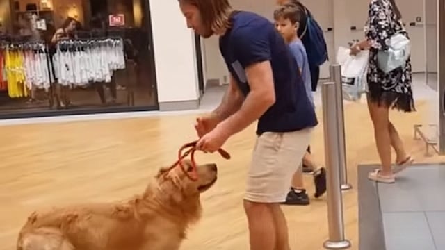 Perrito asustado por escalera eléctrica es ayudado por bondadoso dueño (VIDEO)