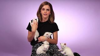 ¡Lady cat! Emma Watson fue entrevistada rodeada de gatitos y murió de ternura [VIDEO]