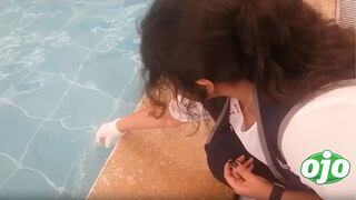 Pueblo Libre: descubren condiciones insalubres en piscinas durante vacaciones útiles (VIDEO)