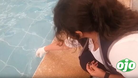 Pueblo Libre: piscina clausurada