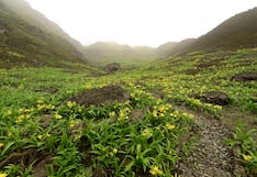 Extienden hasta el 2041 el reconocimiento del Santuario de Amancay como Área de Conservación Privada