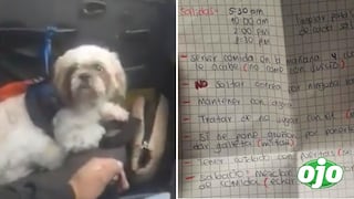 Perrito fue abandonado dentro de un taxi con un manual sobre cómo cuidarlo 