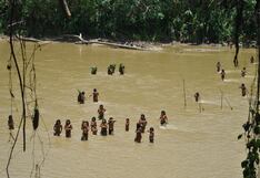 Pueblos indígenas en aislamiento necesitan protección del Estado para cuidar sus recursos, afirma asociación