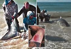 Pescadores atrapan a gran tiburón y luego lloran al devolverlo al mar