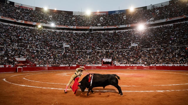 Jueza suspende corridas de toros para salvaguardar derechos fundamentales de animales