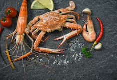 Comer para vivir: Mariscos y su impacto real en el colesterol y ácido úrico