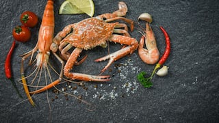 Comer para vivir: Mariscos y su impacto real en el colesterol y ácido úrico