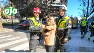 Incendio de edificio en España: bomberos rescatan a un gato después de 8 días (VIDEO)