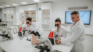 Maestrías virtuales: becas cubren el 50 % de la matrícula para profesionales peruanos