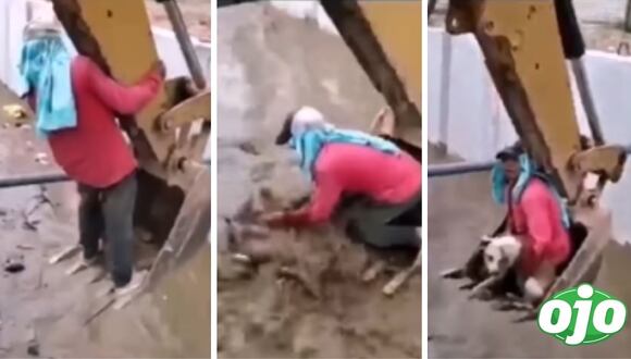 Ojo - Rescatan a perrito