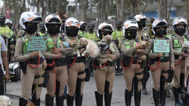 Reactivan el Escuadrón Orejitas de la Policía para rescatar mascotas abandonadas y maltratadas