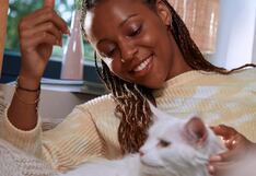 Prevención contra parásitos en perros y gatos