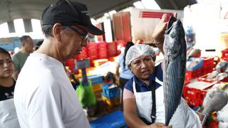 Semana Santa: El bonito y otras especies marinas se venden como pan caliente en el terminal pesquero de VMT