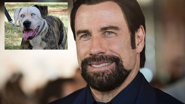 Facebook: Perro causa furor por parecido con John Travolta
