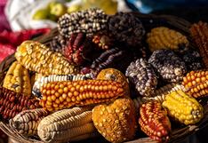 La columna del Dr. Pérez Albela: La nutrición antes de la llegada de los españoles