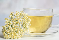 La columna de Pérez-Albela: Flor de saúco, una buena defensa en temporada de resfríos