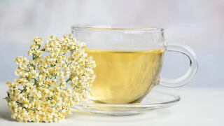 La columna de Pérez-Albela: Flor de saúco, una buena defensa en temporada de resfríos