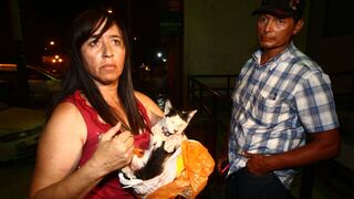 Callao: Hombre mata de un balazo al gato de su hermana [FOTOS] 