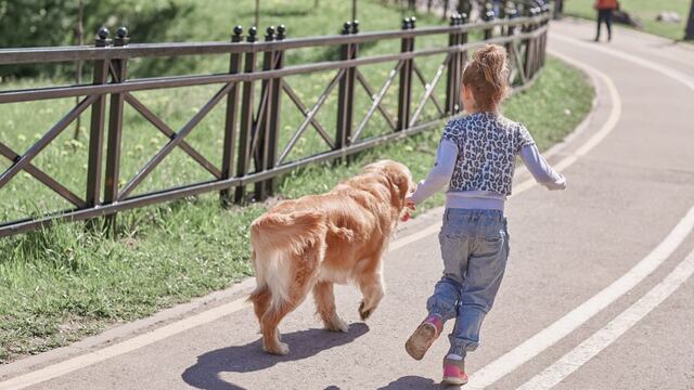 ¿Cómo hacer una caminata de 5 km con tu mascota?