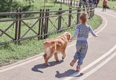 ¿Cómo hacer una caminata de 5 km con tu mascota?