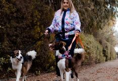 Mascotas: pautas para evitar multas y conflictos en espacios públicos