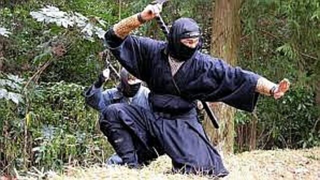 ​Ciudad de Japón aclara que no recluta guerreros ninjas ante montón de voluntarios 