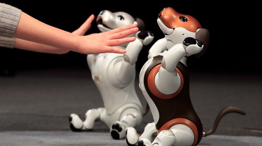 El perro robot parece estar reclamando su ropa.