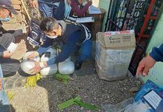 Intervienen tráiler y hallan 23 kilos de marihuana camuflados en Puno