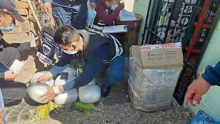 Intervienen tráiler y hallan 23 kilos de marihuana camuflados en Puno