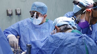 ¡Proeza médica!: Trasplantan riñón de cerdo a paciente, quien “se recupera bien”