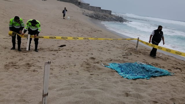 Hallan cadáver en playa de Punta Hermosa: Podría ser uno de los desaparecidos con avioneta Ala Delta