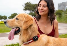¿Tu mascota se pierde? Así puedes ubicarla más rápido y acceder a ayuda veterinaria ante una emergencia