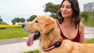 ¿Tu mascota se pierde? Así puedes ubicarla más rápido y acceder a ayuda veterinaria ante una emergencia