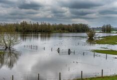 Lluvias intensas: Cómo prepararnos en el hogar durante esta temporada