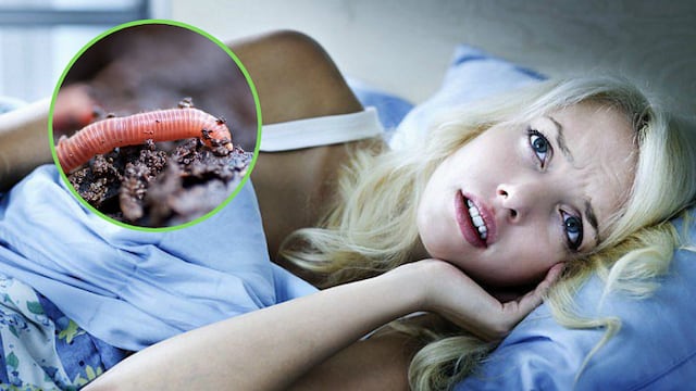 ¿Qué significa soñar con gusanos?