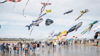 Cometas de colores compiten y “combaten” sobre la playa en festival de colores